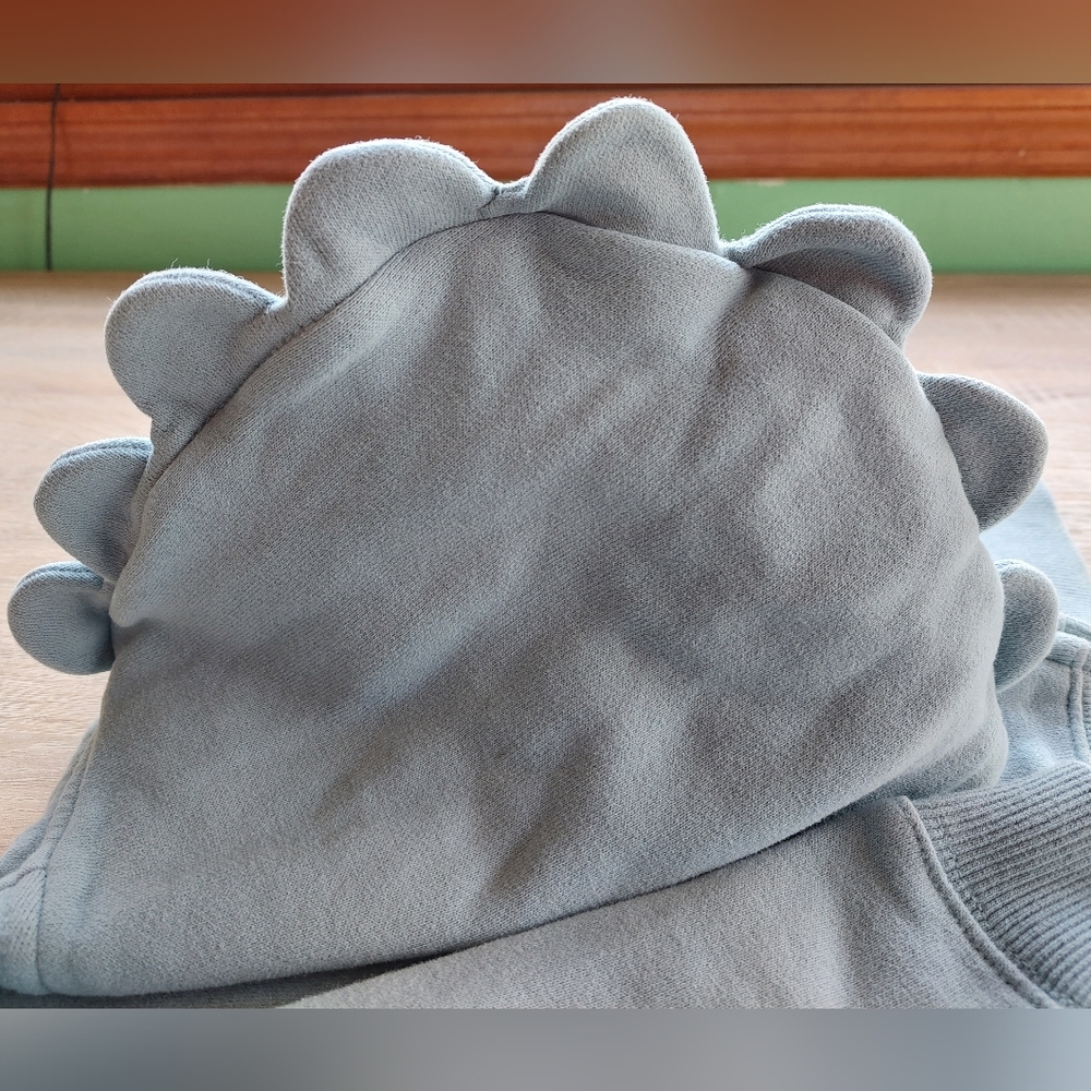 Rwar!!! Gymboree dinosaur hoodie 2T-3T - Picture 3 of 12